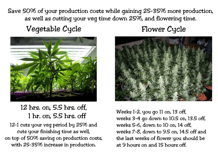 12-1 Method: Photoperiodic Control—short duration | WEED BUSINESS